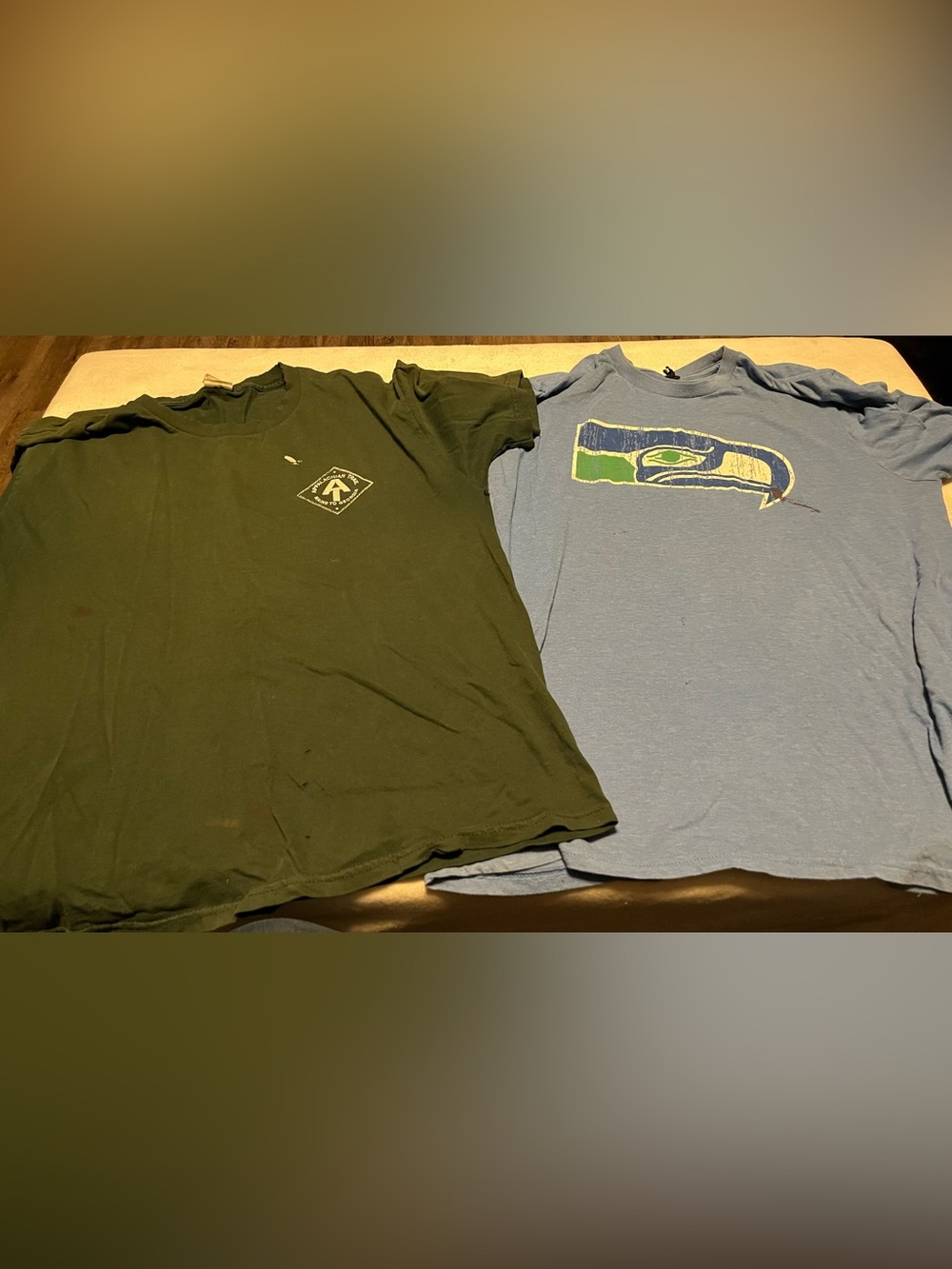 Seattle Seahawks Light Blue Graphic Tee and green T-shirt